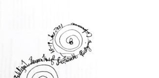 DAII&SP conference 18 and 19 March 2021 – New Delhi DAII@SP Conference logo idea