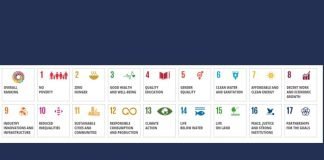 Indian Universities score big at THE Impact Rankings 2023 universities