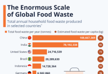 Food Waste and the FoodTekPack Conference on December 11 & 12 FoodTekPack