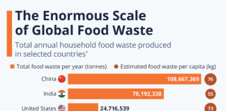 Food Waste and the FoodTekPack Conference on December 11 & 12 FoodTekPack
