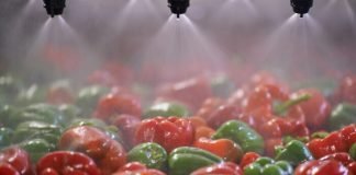 Innovation and tech for scaling the vibrant Indian food industry food